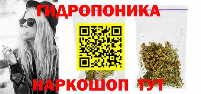 сатива Балахна