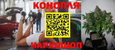 сатива Балахна