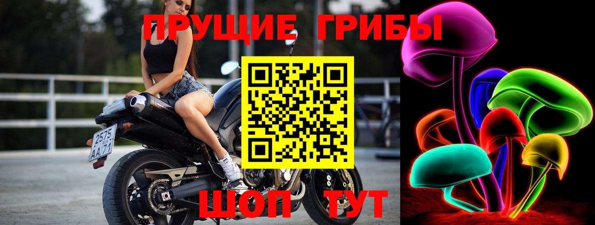 Псилоцибиновые грибы Psilocybine cubensis  Вход с VPN  Долгопрудный  купить закладку  Галлюциногенные грибы Psilocybe 