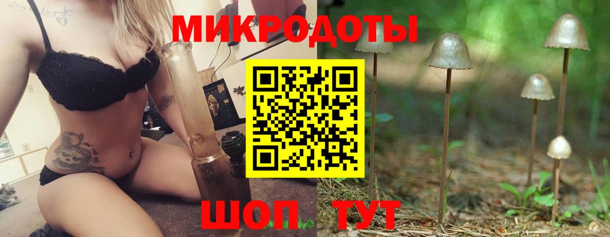 Псилоцибиновые грибы Psilocybe Долгопрудный